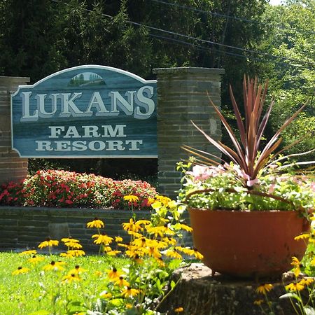 Lukans Farm Resort Hawley Dış mekan fotoğraf