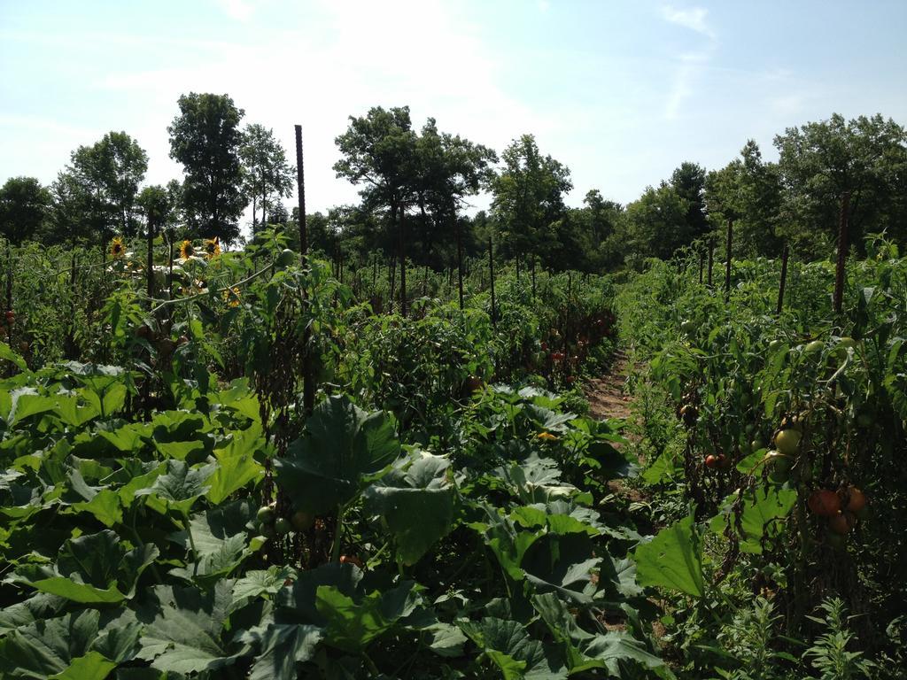 Lukans Farm Resort Hawley Dış mekan fotoğraf