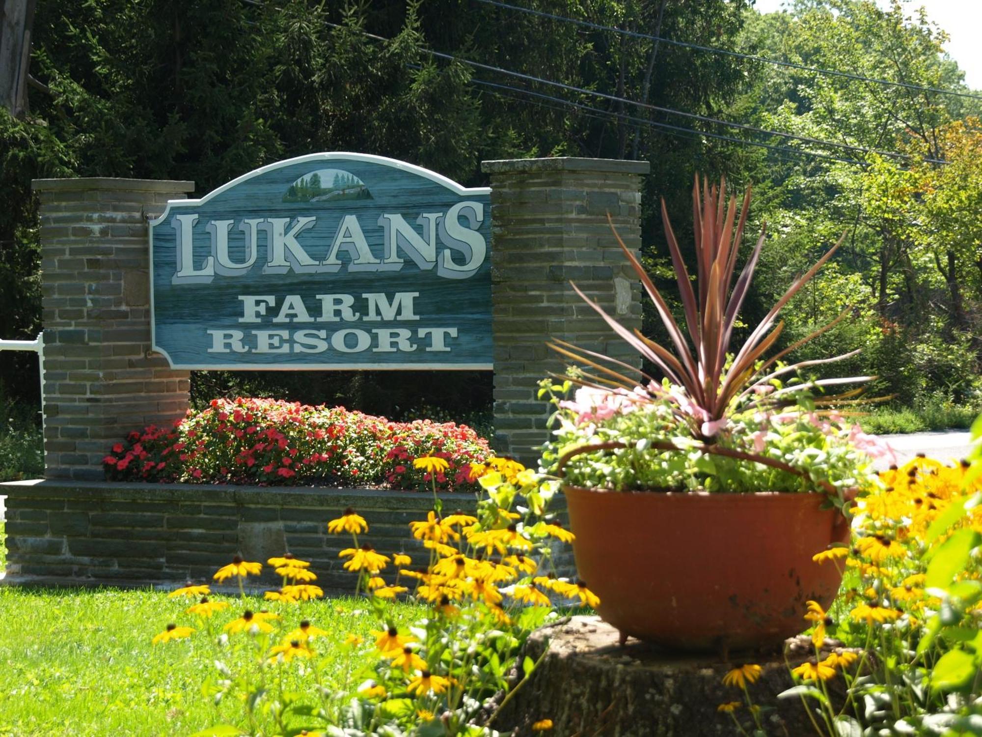 Lukans Farm Resort Hawley Dış mekan fotoğraf