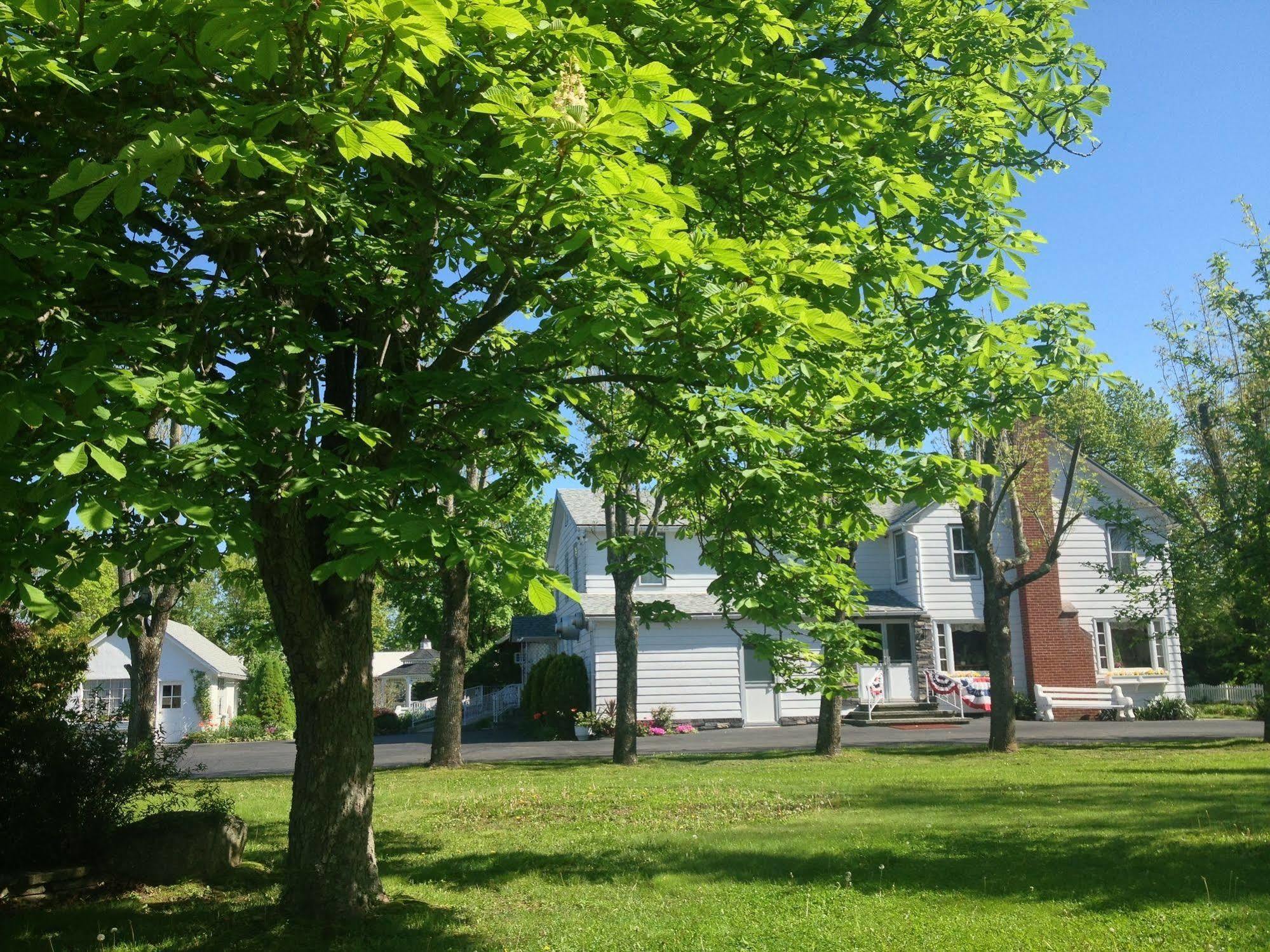 Lukans Farm Resort Hawley Dış mekan fotoğraf